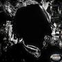 MONEY FLEX (Explicit)