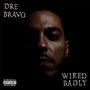 Wired Badly (Explicit)