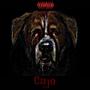 Cujo (feat. Shun1K & SB Jayy) [Explicit]