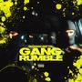 Gang Rumble (feat. Rass) [Explicit]