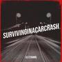 survivinginacarcrash (Explicit)