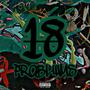18 PROBLEMS (Explicit)