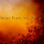 Secret Point, Vol. 7