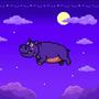 8-bit Hippo (Explicit)