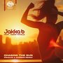 Chasing The Sun (Fracus & Darwin Remix)