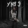 YNS 3 (Explicit)