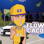 Flow Caco (Explicit)