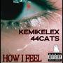 how i feel (feat. 44Cats) [Explicit]