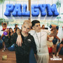 PAL GYM (Explicit)