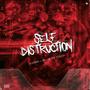 Self Distruction (feat. Mellow Don Picasso)