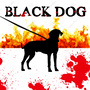 Black Dog