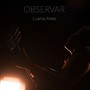 Observar