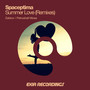 Summer Love (Remixes)