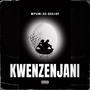 Kwenzenjani (soulful Tech)