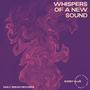 whispers of a new sound (feat. Maxi Melanko) [Explicit]