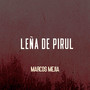 Leña de Pirul