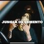 Jungla D' Cemento (INSTRUMENTAL PROD.BY LINKON)