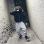 Evil twins (feat. Soul finessin) [Explicit]
