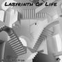 Labyrinth Of Life (Explicit)