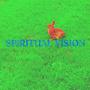 Spiritual Vision