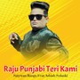 Raju Punjabi Teri Kami