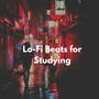 Lo-Fi Beats for Studying