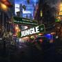 JUNGLE (feat. Deja Vu Sounds & Big toolx)