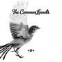 The Common Linnets