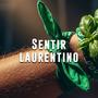 Sentir laurentino