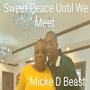 Sweet Peace Until We Meet (Explicit)