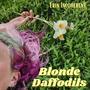 Blonde Daffodils