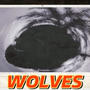 Wolves (Explicit)