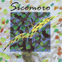 Sicomoro