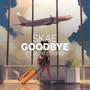 Goodbye (feat. Roxi Sound)