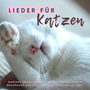 Lieder für Katzen: Ambient Lieder, die den Katzen Helfen Stress Abzubauen und Glücklich und Gelassen zu Sein