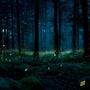 lucioles (Explicit)