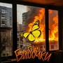 Бабочки