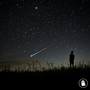 Sleepless Stars