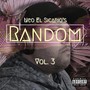 Random, Vol. 3 (Explicit)