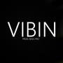 VIBIN (Explicit)