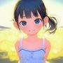 Summer Diary
