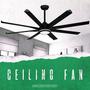 Ceiling Fan