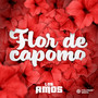 Flor de Capomo