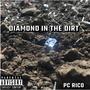 Diamond In The Dirt (Explicit)