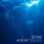 Sons aquatiques - Le son de l'eau et de la musique apaisante pour dormir