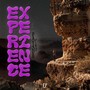 Experience (Explicit)