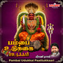Pambai Udukkai Paattukkaari