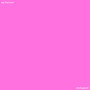 SAY THAT NOW (Explicit)