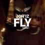 FLY (Explicit)