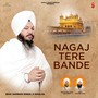 Nagaj Tere Bande